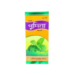 Pudina 450ml Syrup