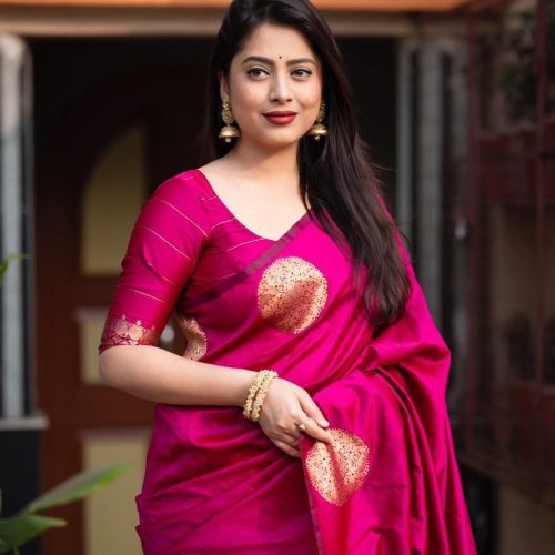 Silk Sharee with Blo