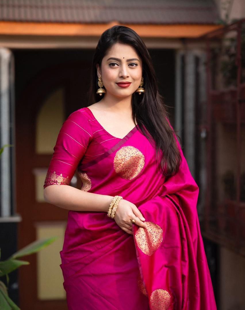 Silk Sharee with Blo