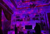 Projection Light